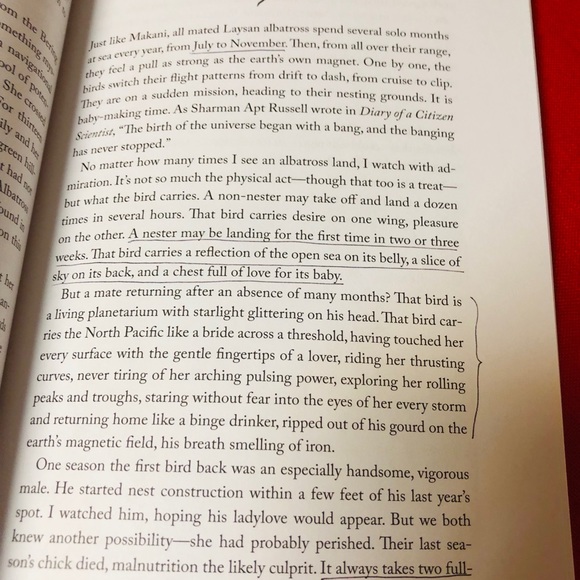 Holy Molí paperback. - Picture 3 of 3